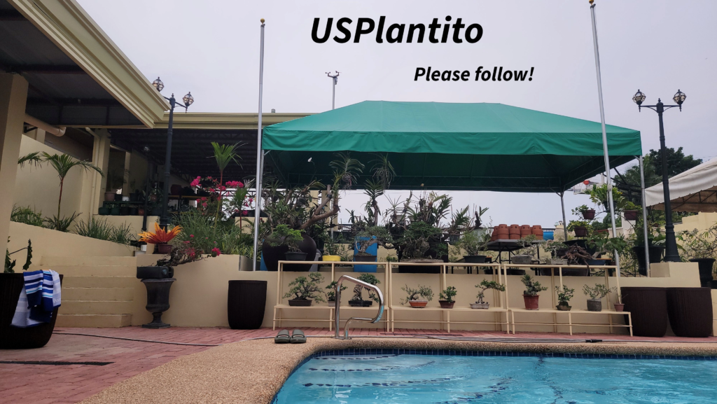 USPlanito, life in the Philippines