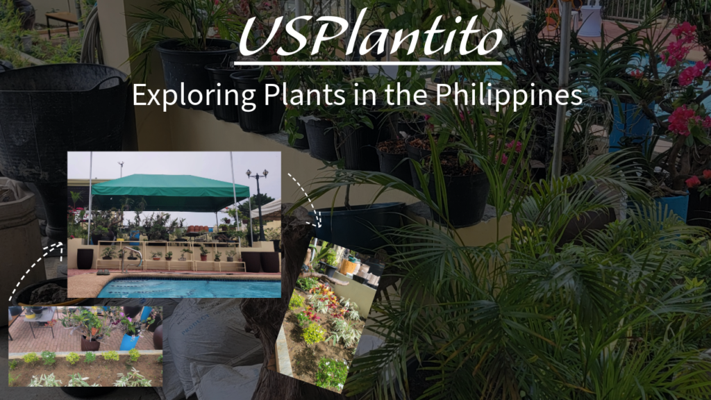 USPlantito life int he Philippines